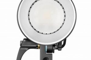 Best Outdoor Battery Operated Studio Flash [Guide + Review] | Study Travel Abroad | Explore Educational Trips & Global Learning Opportunities