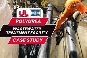 Real-World Polyurea Case Study Examples: Benefits & Uses Study Travel Abroad | Explore Educational Trips & Global Learning Opportunities Real-World Polyurea Case Study Examples: Benefits & Uses | Study Travel Abroad | Explore Educational Trips & Global Learning Opportunities