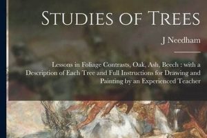 Tree Experts: Someone Who Studies Trees & Forests Study Travel Abroad | Explore Educational Trips & Global Learning Opportunities Tree Experts: Someone Who Studies Trees & Forests | Study Travel Abroad | Explore Educational Trips & Global Learning Opportunities