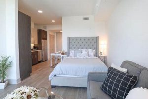 Find Your Studio Apartments in Houston Under $800! Study Travel Abroad | Explore Educational Trips & Global Learning Opportunities Find Your Studio Apartments in Houston Under $800! | Study Travel Abroad | Explore Educational Trips & Global Learning Opportunities