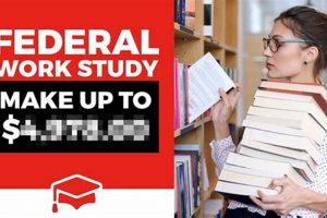 Work Study Pay: Your Guide to Earning $$$ & Studying! Study Travel Abroad | Explore Educational Trips & Global Learning Opportunities Work Study Pay: Your Guide to Earning $$$ & Studying! | Study Travel Abroad | Explore Educational Trips & Global Learning Opportunities