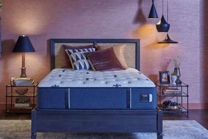 Stearns & Foster Studio Medium Mattress: Is It Right For You? Study Travel Abroad | Explore Educational Trips & Global Learning Opportunities Stearns & Foster Studio Medium Mattress: Is It Right For You? | Study Travel Abroad | Explore Educational Trips & Global Learning Opportunities
