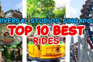 Ultimate Guide: Universal Studios Sentosa Rides & Tips! Study Travel Abroad | Explore Educational Trips & Global Learning Opportunities Ultimate Guide: Universal Studios Sentosa Rides & Tips! | Study Travel Abroad | Explore Educational Trips & Global Learning Opportunities