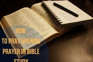 Boost Your Day: Prayer and Study Guide Now! Study Travel Abroad | Explore Educational Trips & Global Learning Opportunities Boost Your Day: Prayer and Study Guide Now! | Study Travel Abroad | Explore Educational Trips & Global Learning Opportunities