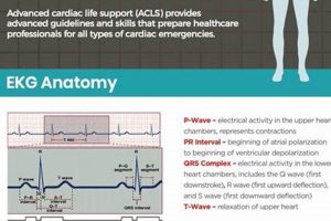 Ultimate ACLS Study Guide PDF: Ace Your Exam Study Travel Abroad | Explore Educational Trips & Global Learning Opportunities Ultimate ACLS Study Guide PDF: Ace Your Exam | Study Travel Abroad | Explore Educational Trips & Global Learning Opportunities