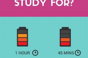 Study Smart: How Long *Should* You Study? Guide Study Travel Abroad | Explore Educational Trips & Global Learning Opportunities Study Smart: How Long *Should* You Study? Guide | Study Travel Abroad | Explore Educational Trips & Global Learning Opportunities