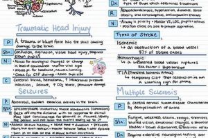 Best Nursing Study Notes: Your Guide to Success! Study Travel Abroad | Explore Educational Trips & Global Learning Opportunities Best Nursing Study Notes: Your Guide to Success! | Study Travel Abroad | Explore Educational Trips & Global Learning Opportunities