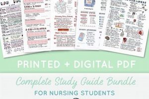 Best Nurse Study Guide: Ace Your Exams! Study Travel Abroad | Explore Educational Trips & Global Learning Opportunities Best Nurse Study Guide: Ace Your Exams! | Study Travel Abroad | Explore Educational Trips & Global Learning Opportunities