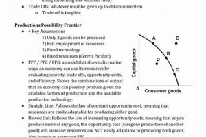 Top AP Microeconomics Study Guide: Ace Your Exam! Study Travel Abroad | Explore Educational Trips & Global Learning Opportunities Top AP Microeconomics Study Guide: Ace Your Exam! | Study Travel Abroad | Explore Educational Trips & Global Learning Opportunities