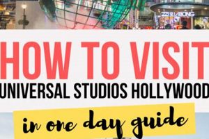 Universal Hollywood: Can You Do It In One Day? Guide Study Travel Abroad | Explore Educational Trips & Global Learning Opportunities Universal Hollywood: Can You Do It In One Day? Guide | Study Travel Abroad | Explore Educational Trips & Global Learning Opportunities