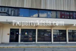 Find: Commercial Studios to Rent Kingston - Deals! Study Travel Abroad | Explore Educational Trips & Global Learning Opportunities Find: Commercial Studios to Rent Kingston - Deals! | Study Travel Abroad | Explore Educational Trips & Global Learning Opportunities