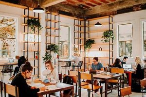 Best Coffee Shops to Study Near Me: [Location] Guide | Study Travel Abroad | Explore Educational Trips & Global Learning Opportunities
