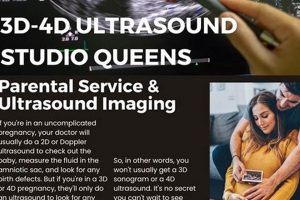 Find Best 3D 4D Ultrasound Studio Queens, [Year]! | Study Travel Abroad | Explore Educational Trips & Global Learning Opportunities