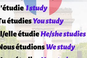 Learn & Study: I Study in French - Your Ultimate Guide! Study Travel Abroad | Explore Educational Trips & Global Learning Opportunities Learn & Study: I Study in French - Your Ultimate Guide! | Study Travel Abroad | Explore Educational Trips & Global Learning Opportunities