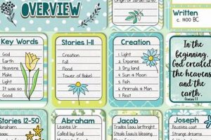 Best Genesis Study Guide: Resources & Tips Study Travel Abroad | Explore Educational Trips & Global Learning Opportunities Best Genesis Study Guide: Resources & Tips | Study Travel Abroad | Explore Educational Trips & Global Learning Opportunities