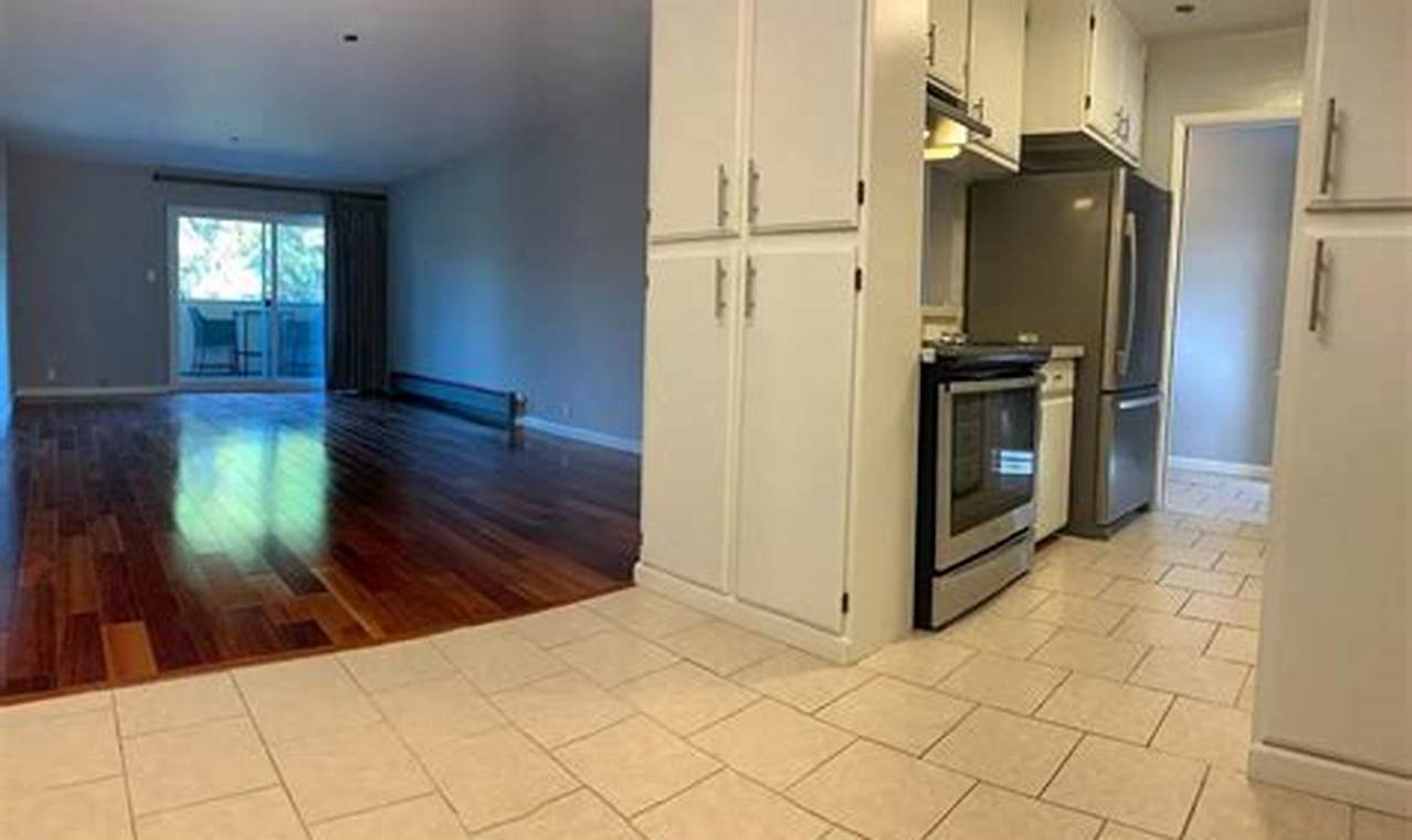 Find Your Studio for Rent in Redwood City Today! | Study Travel Abroad | Explore Educational Trips & Global Learning Opportunities