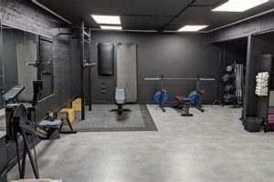 Elevate Your Fitness: Studio Personal Training Experience Study Travel Abroad | Explore Educational Trips & Global Learning Opportunities Elevate Your Fitness: Studio Personal Training Experience | Study Travel Abroad | Explore Educational Trips & Global Learning Opportunities