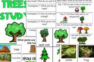 Get Started: Creative Curriculum Tree Week 1 Study Guide Study Travel Abroad | Explore Educational Trips & Global Learning Opportunities Get Started: Creative Curriculum Tree Week 1 Study Guide | Study Travel Abroad | Explore Educational Trips & Global Learning Opportunities