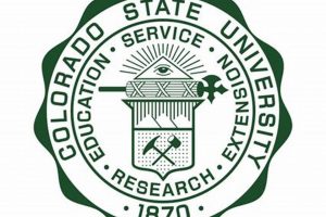 CSU Work Study: Jobs & Aid at Colorado State Study Travel Abroad | Explore Educational Trips & Global Learning Opportunities CSU Work Study: Jobs & Aid at Colorado State | Study Travel Abroad | Explore Educational Trips & Global Learning Opportunities