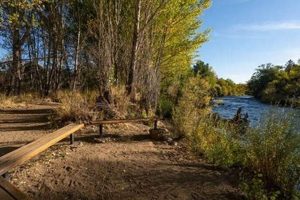 Explore the Oxbow Nature Study Area: A Guide + More Study Travel Abroad | Explore Educational Trips & Global Learning Opportunities Explore the Oxbow Nature Study Area: A Guide + More | Study Travel Abroad | Explore Educational Trips & Global Learning Opportunities