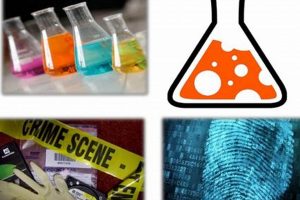 Forensic Chemistry: Chemicals in Legal Studies Explained Study Travel Abroad | Explore Educational Trips & Global Learning Opportunities Forensic Chemistry: Chemicals in Legal Studies Explained | Study Travel Abroad | Explore Educational Trips & Global Learning Opportunities