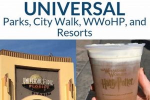 Guide to Universal Studios Gluten Free Options (2024) | Study Travel Abroad | Explore Educational Trips & Global Learning Opportunities