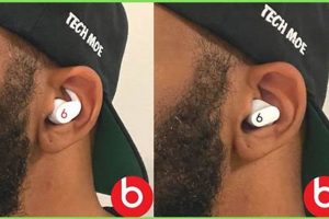 Beats Showdown: Solo vs Studio Buds - Which Wins? Study Travel Abroad | Explore Educational Trips & Global Learning Opportunities Beats Showdown: Solo vs Studio Buds - Which Wins? | Study Travel Abroad | Explore Educational Trips & Global Learning Opportunities