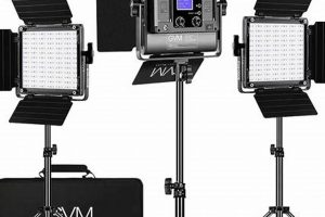 Best LED Studio Lights [Guide] + Setup Tips | Study Travel Abroad | Explore Educational Trips & Global Learning Opportunities