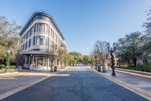 Step Back in Time: Disney Hollywood Studios Grand Avenue Guide Study Travel Abroad | Explore Educational Trips & Global Learning Opportunities Step Back in Time: Disney Hollywood Studios Grand Avenue Guide | Study Travel Abroad | Explore Educational Trips & Global Learning Opportunities