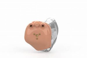 Find the Best: Feldman Hearing Studio for You Study Travel Abroad | Explore Educational Trips & Global Learning Opportunities Find the Best: Feldman Hearing Studio for You | Study Travel Abroad | Explore Educational Trips & Global Learning Opportunities