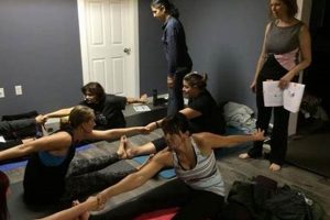 Find: Soya Canada Yoga Studio Near You - Wellness! Study Travel Abroad | Explore Educational Trips & Global Learning Opportunities Find: Soya Canada Yoga Studio Near You - Wellness! | Study Travel Abroad | Explore Educational Trips & Global Learning Opportunities