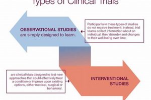 Understanding Clinical Trial vs. Study: Key Differences Study Travel Abroad | Explore Educational Trips & Global Learning Opportunities Understanding Clinical Trial vs. Study: Key Differences | Study Travel Abroad | Explore Educational Trips & Global Learning Opportunities