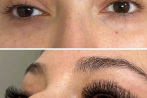 Enhance Your Beauty | Amazing Lash Studio Naperville Study Travel Abroad | Explore Educational Trips & Global Learning Opportunities Enhance Your Beauty | Amazing Lash Studio Naperville | Study Travel Abroad | Explore Educational Trips & Global Learning Opportunities