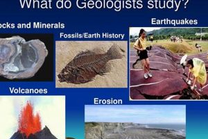 Geological Rocks: Evidence That Geologists Study Types? Study Travel Abroad | Explore Educational Trips & Global Learning Opportunities Geological Rocks: Evidence That Geologists Study Types? | Study Travel Abroad | Explore Educational Trips & Global Learning Opportunities