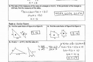 Prep: Similar Triangles Unit 6 Test Study Guide! Study Travel Abroad | Explore Educational Trips & Global Learning Opportunities Prep: Similar Triangles Unit 6 Test Study Guide! | Study Travel Abroad | Explore Educational Trips & Global Learning Opportunities