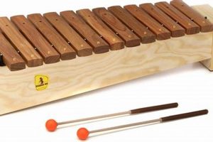 Discover Studio 49 Orff Instruments: Music Education Study Travel Abroad | Explore Educational Trips & Global Learning Opportunities Discover Studio 49 Orff Instruments: Music Education | Study Travel Abroad | Explore Educational Trips & Global Learning Opportunities