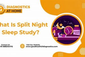 What to Expect: Split Night Sleep Study Guide + Tips Study Travel Abroad | Explore Educational Trips & Global Learning Opportunities What to Expect: Split Night Sleep Study Guide + Tips | Study Travel Abroad | Explore Educational Trips & Global Learning Opportunities