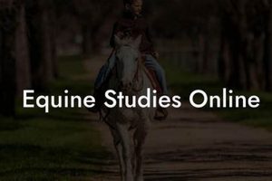 Best Equine Studies Online: Courses & Careers Study Travel Abroad | Explore Educational Trips & Global Learning Opportunities Best Equine Studies Online: Courses & Careers | Study Travel Abroad | Explore Educational Trips & Global Learning Opportunities