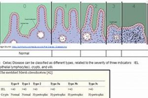 Celiac Case Studies: Answer Key & Solutions Guide Study Travel Abroad | Explore Educational Trips & Global Learning Opportunities Celiac Case Studies: Answer Key & Solutions Guide | Study Travel Abroad | Explore Educational Trips & Global Learning Opportunities