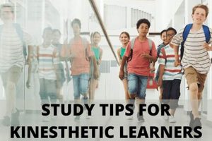 Best Study Tips: Kinesthetic Learners Guide! Study Travel Abroad | Explore Educational Trips & Global Learning Opportunities Best Study Tips: Kinesthetic Learners Guide! | Study Travel Abroad | Explore Educational Trips & Global Learning Opportunities