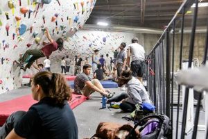 Elevate at The Studio Climbing: Walls & Training! Study Travel Abroad | Explore Educational Trips & Global Learning Opportunities Elevate at The Studio Climbing: Walls & Training! | Study Travel Abroad | Explore Educational Trips & Global Learning Opportunities