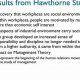 Study Finds: Social Factors Impact Hawthorne Studies Conclusion | Study Travel Abroad | Explore Educational Trips & Global Learning Opportunities