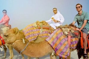 Exploring Qatar Business Study Abroad: TAMU Reddit Insights Study Travel Abroad | Explore Educational Trips & Global Learning Opportunities Exploring Qatar Business Study Abroad: TAMU Reddit Insights | Study Travel Abroad | Explore Educational Trips & Global Learning Opportunities