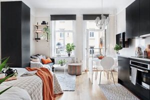 Best Studio Apartments Decorating Ideas: Maximize Space Study Travel Abroad | Explore Educational Trips & Global Learning Opportunities Best Studio Apartments Decorating Ideas: Maximize Space | Study Travel Abroad | Explore Educational Trips & Global Learning Opportunities