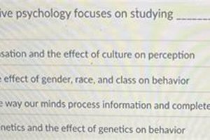 Why Cognitive Psychology Focuses on Studying Minds Study Travel Abroad | Explore Educational Trips & Global Learning Opportunities Why Cognitive Psychology Focuses on Studying Minds | Study Travel Abroad | Explore Educational Trips & Global Learning Opportunities