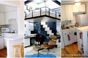 Studio vs Efficiency Apt: Find Your Best Fit Study Travel Abroad | Explore Educational Trips & Global Learning Opportunities Studio vs Efficiency Apt: Find Your Best Fit | Study Travel Abroad | Explore Educational Trips & Global Learning Opportunities