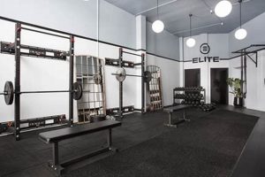 Boost Health! Your Personal Training Studio Awaits Study Travel Abroad | Explore Educational Trips & Global Learning Opportunities Boost Health! Your Personal Training Studio Awaits | Study Travel Abroad | Explore Educational Trips & Global Learning Opportunities