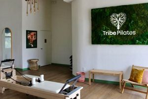 Discover Tribe Pilates Studio City: Your Core Awaits! Study Travel Abroad | Explore Educational Trips & Global Learning Opportunities Discover Tribe Pilates Studio City: Your Core Awaits! | Study Travel Abroad | Explore Educational Trips & Global Learning Opportunities