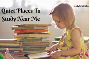 Best Quiet Places to Study Near Me: Find Your Focus Spot! | Study Travel Abroad | Explore Educational Trips & Global Learning Opportunities