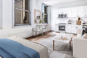 Studio vs 1 Bedroom: Key Differences You Should Know Study Travel Abroad | Explore Educational Trips & Global Learning Opportunities Studio vs 1 Bedroom: Key Differences You Should Know | Study Travel Abroad | Explore Educational Trips & Global Learning Opportunities